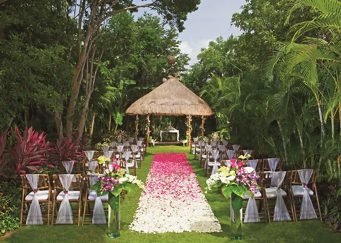 Resort Dreams & 5*